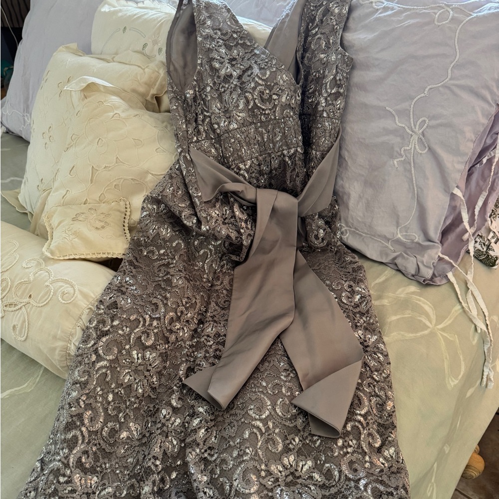 The Limited Silver Lined Lace Dress with silk tie in back!!’